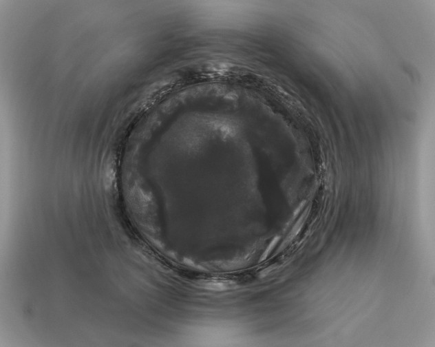 X0000115050754200911091425