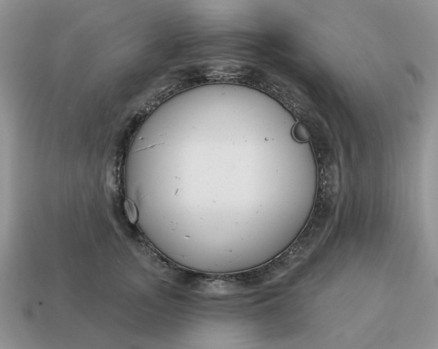 X0000115050755200911091425