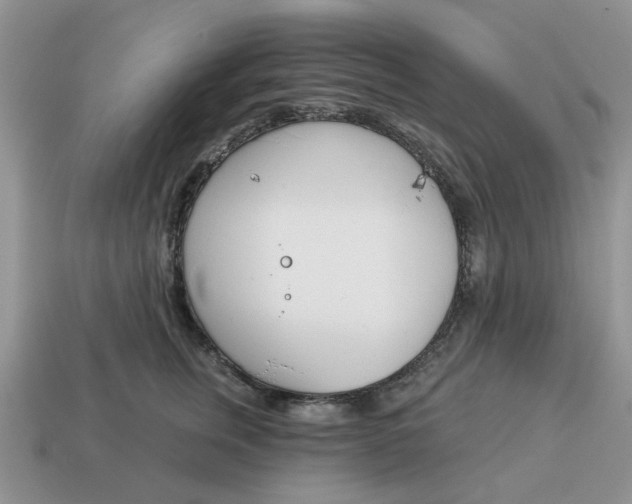 X0000115050759200911091425