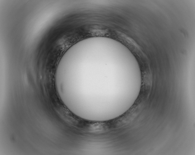 X0000115050761200911091425