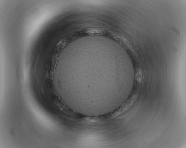 X0000115050763200911091425