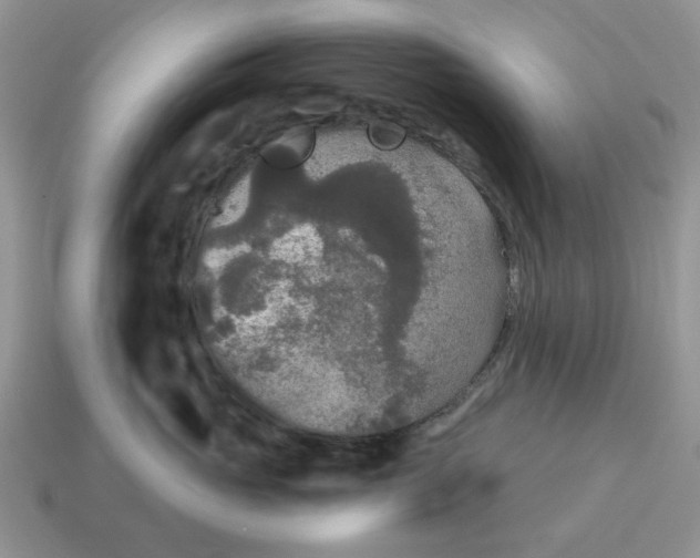 X0000115050765200911091425