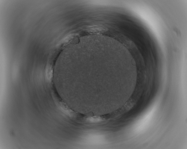 X0000115050767200911091425