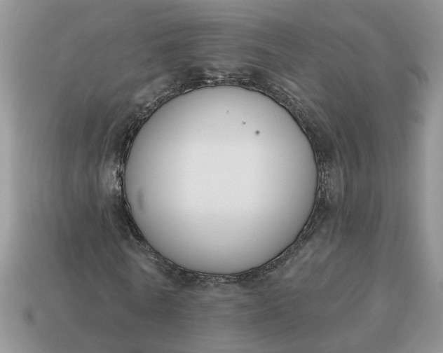 X0000115050770200911091424