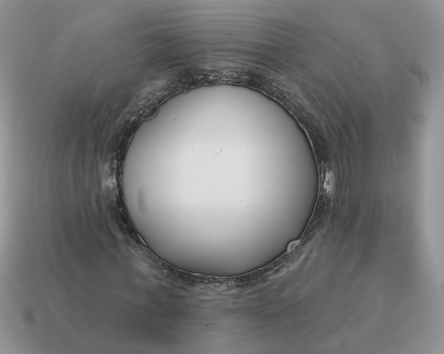 X0000115050771200911091424
