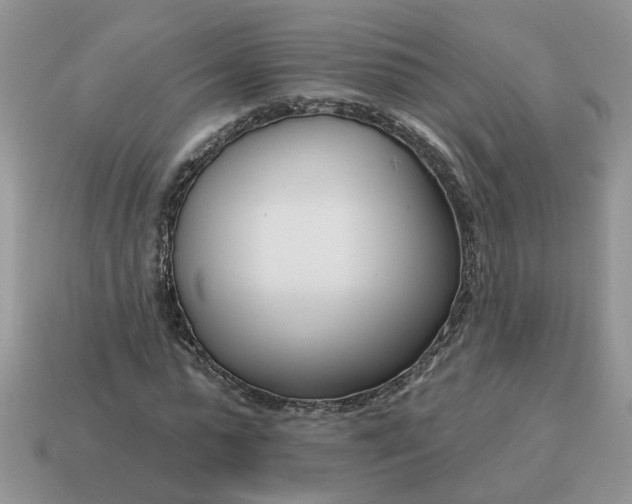 X0000115050775200911091424
