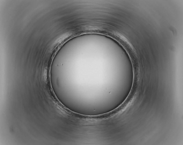 X0000115050777200911091424