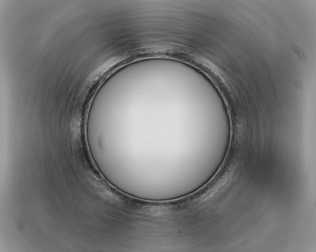 X0000115050778200911091424