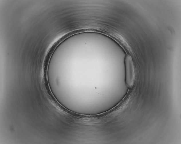 X0000115050780200911091424