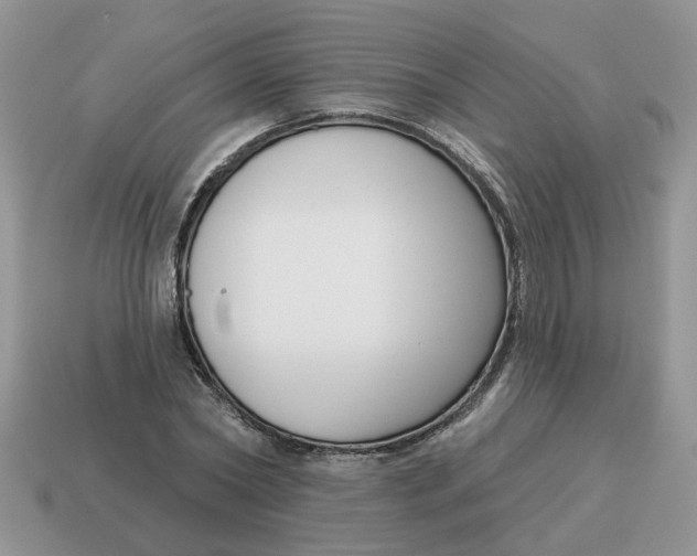 X0000115050782200911091424