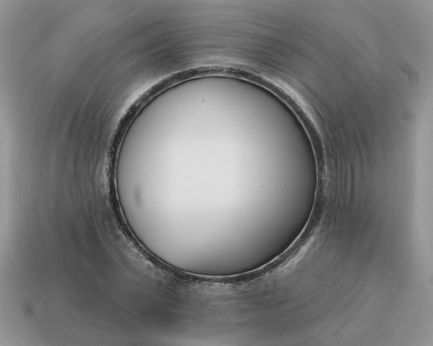 X0000115050783200911091424