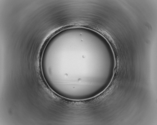 X0000115050784200911091424