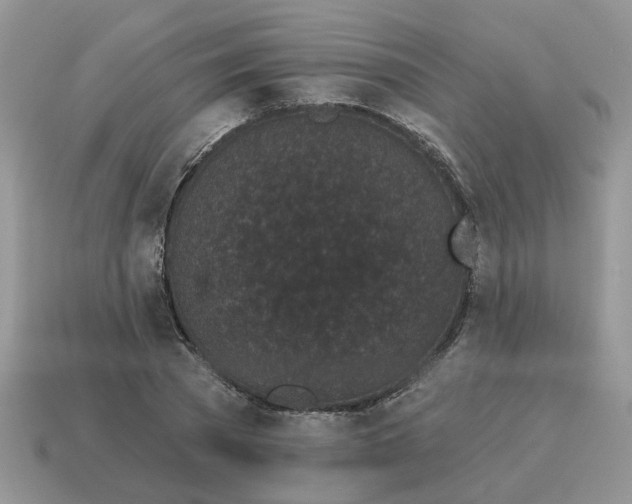 X0000115050785200911091424