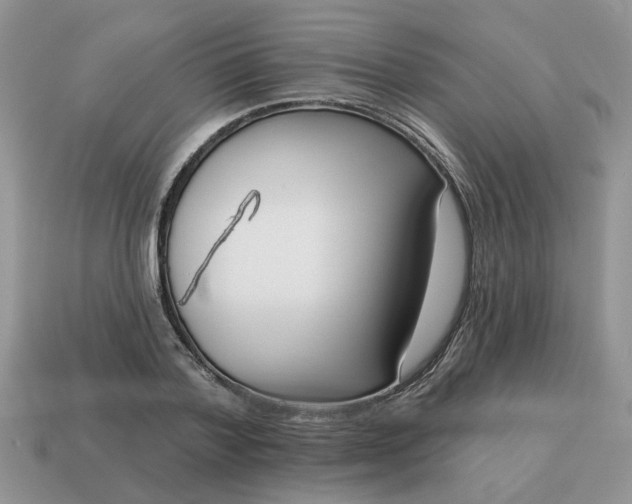 X0000115050788200911091424