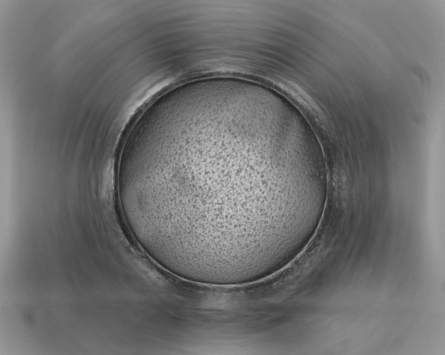 X0000115050790200911091424