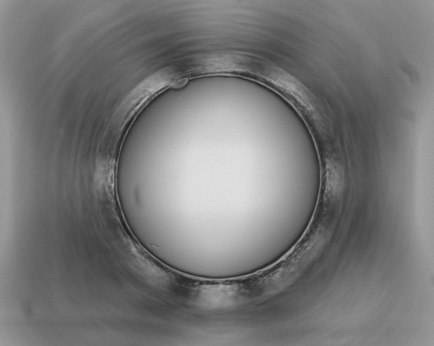 X0000115050793200911091424