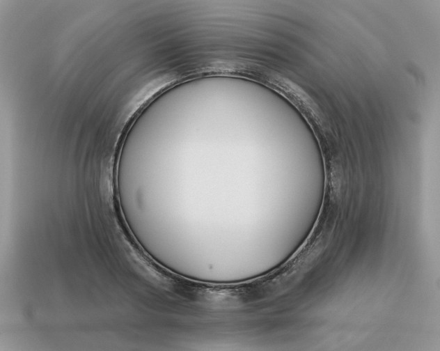 X0000115050794200911091424