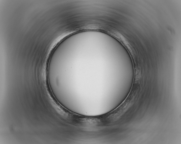 X0000115050795200911091424