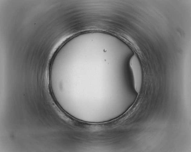 X0000115050796200911091424