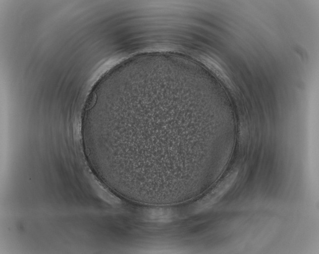 X0000115050797200911091424