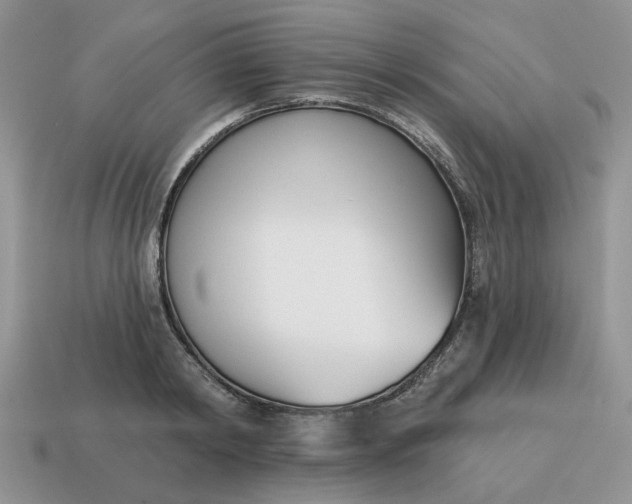 X0000115050798200911091424