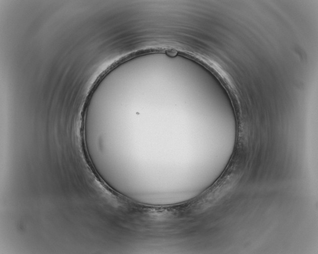 X0000115050799200911091424