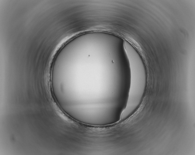 X0000115050800200911091424