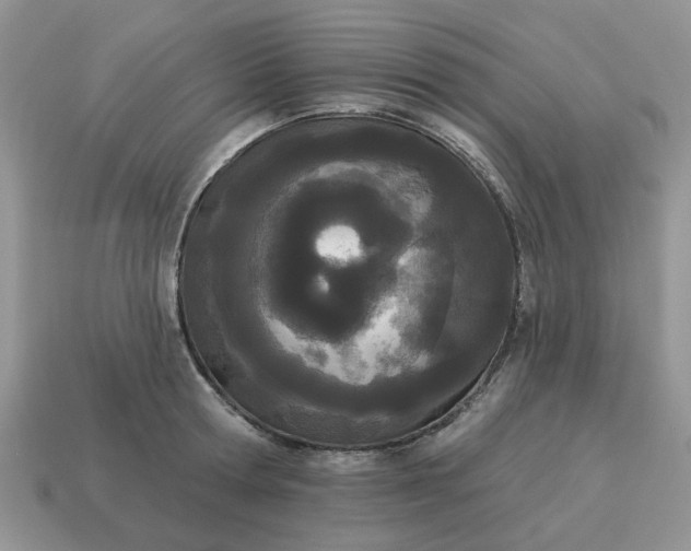 X0000115050802200911091424