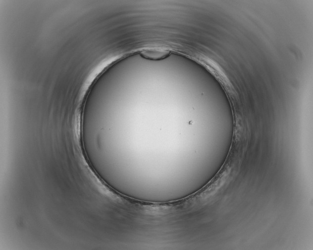 X0000115050804200911091424