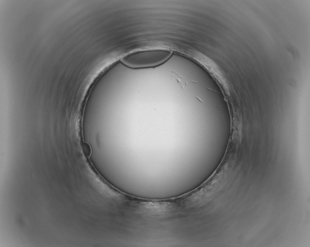 X0000115050805200911091424