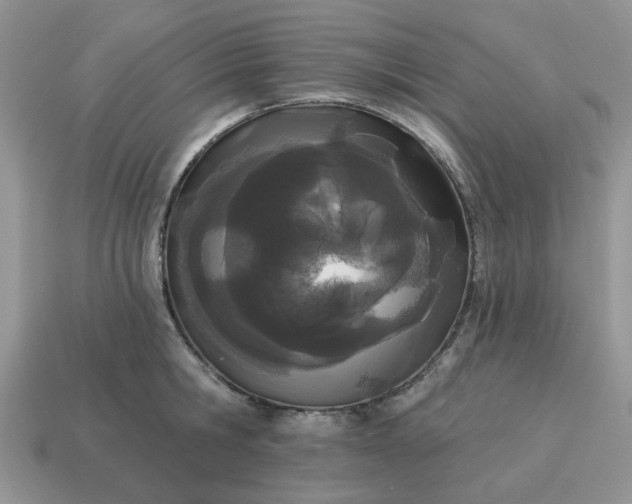 X0000115050806200911091424