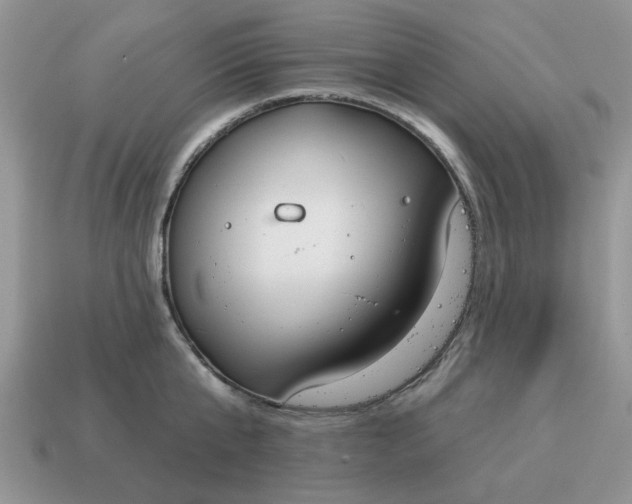 X0000115050807200911091424