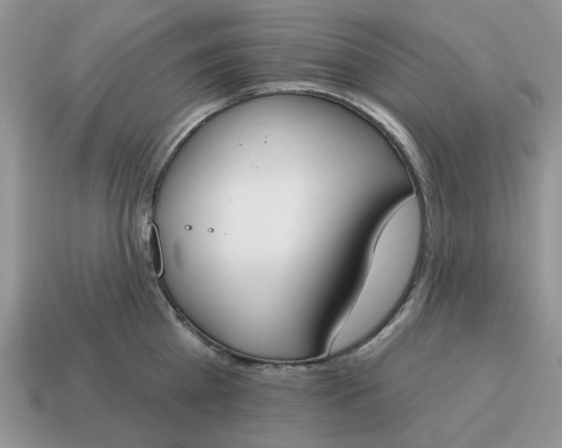 X0000115050809200911091424