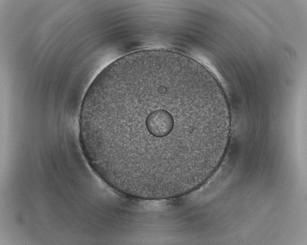 X0000115050810200911091424