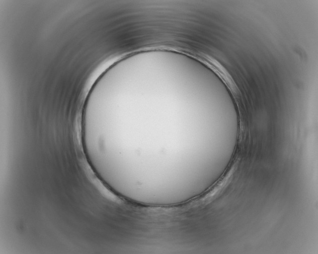 X0000115050812200911091424