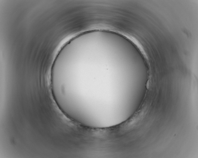 X0000115050815200911091424