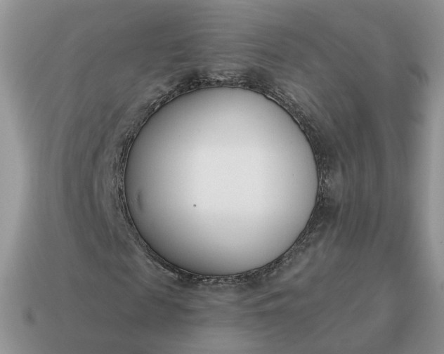 X0000115050817200911091423