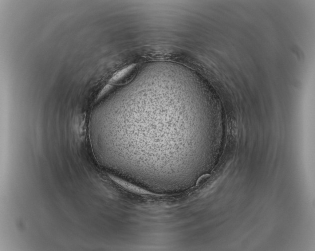 X0000115050818200911091423