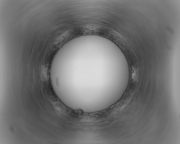 X0000115050819200911091423