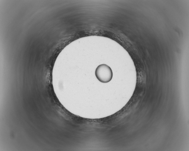 X0000115050820200911091423