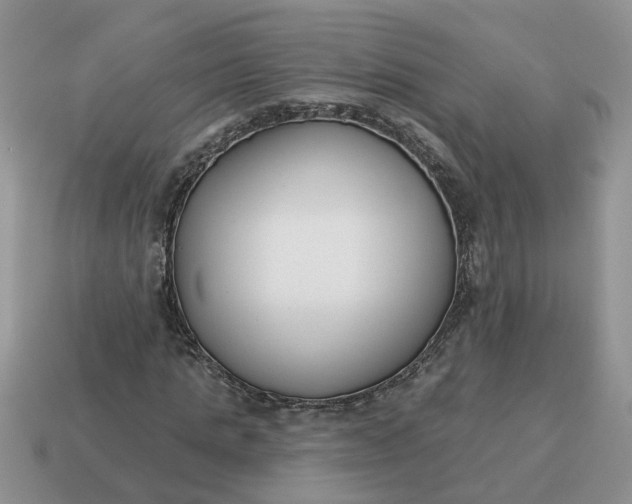 X0000115050821200911091423