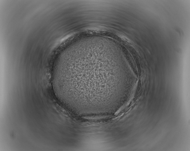 X0000115050822200911091423
