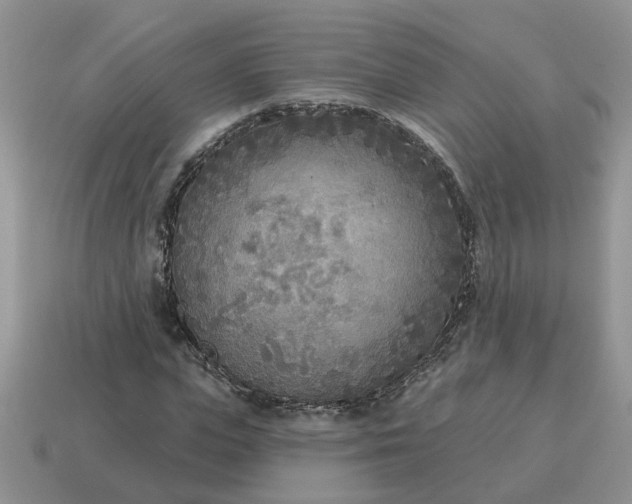 X0000115050823200911091423