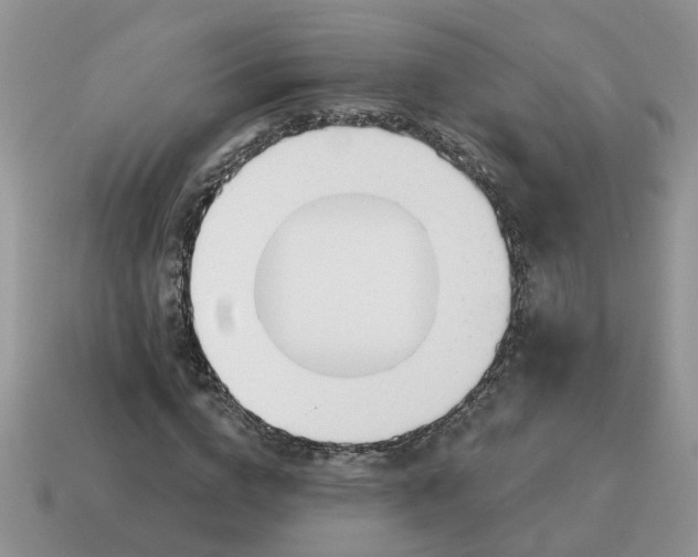 X0000115050824200911091423