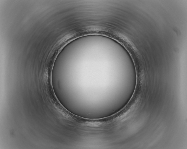 X0000115050825200911091423