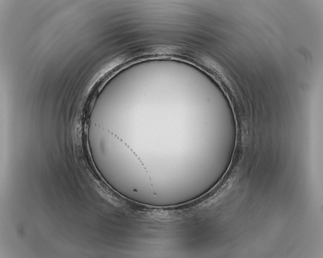 X0000115050827200911091423