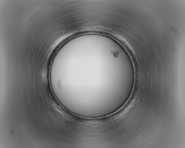 X0000115050830200911091423