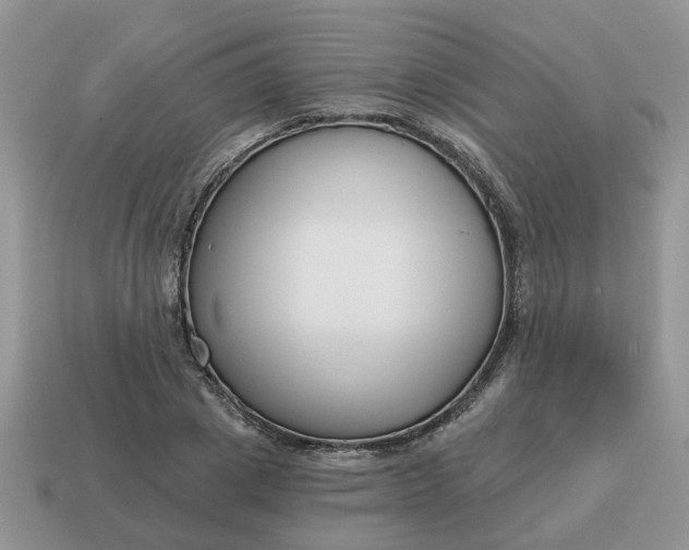 X0000115050833200911091423