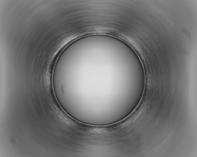 X0000115050835200911091423