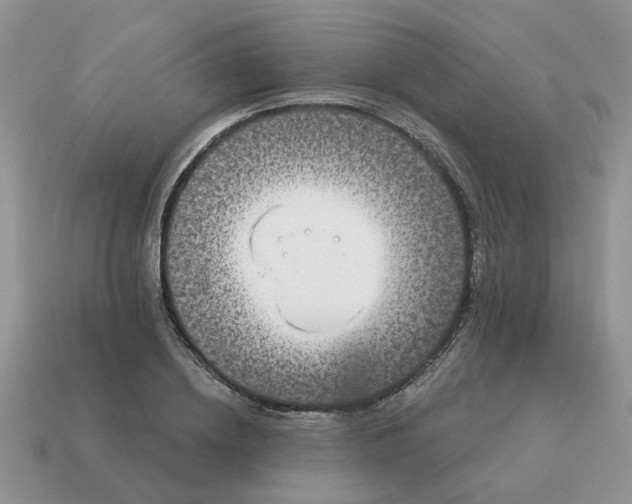 X0000115050836200911091423